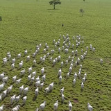 472093919 1070577281749838 223974552449039223 n