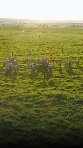 476210412 1145440457041930 4869406943504517797 n.jpg