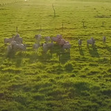 476210412 1145440457041930 4869406943504517797 n