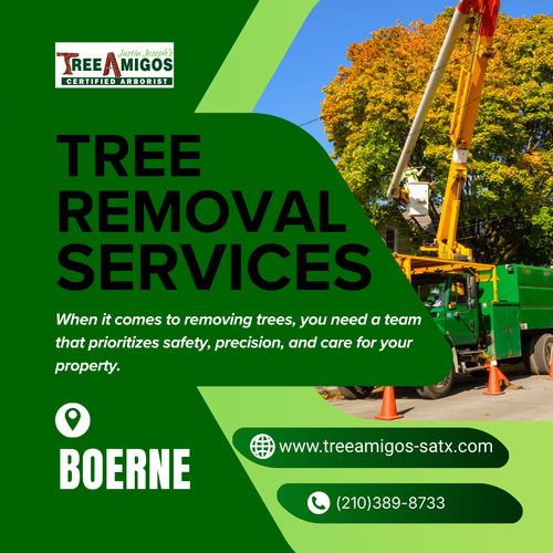 Tree Removal Services In Boerne.png