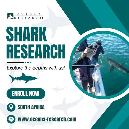 Shark Research South Africa.jpg