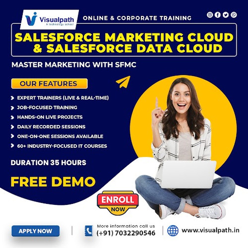 Salesforce Data Cloud Online Training   Online Training.jpg