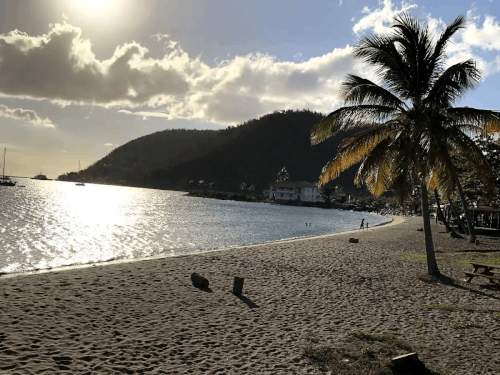 Best Dominica Island Beaches & Coastal Adventure Tours.gif