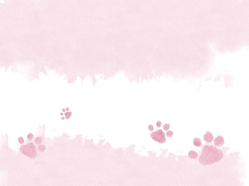 米米嘟的背景 1 小代悦 来自小红书网页版.jpg