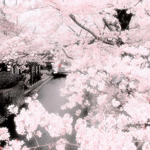 套图分享｜宝宝们请食用🍴 3 silent（3千粉开裙 来自小红书网页版.jpg