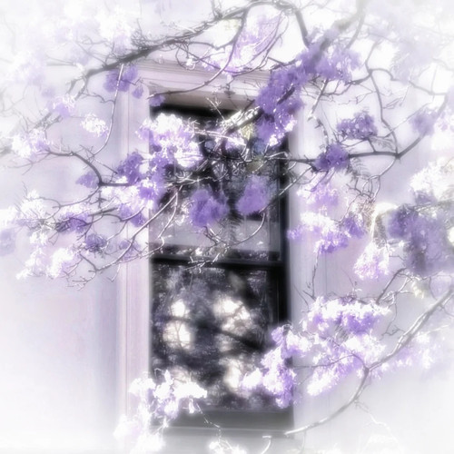  1 叙情. 来自小红书网页版.jpg