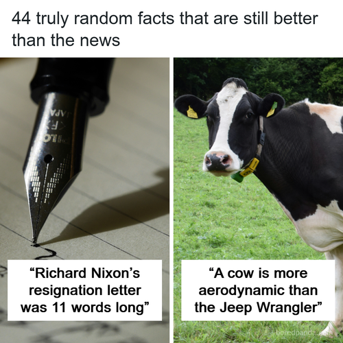 random facts.png