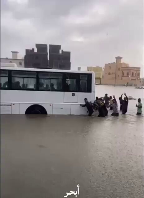 3i5vj6YDxZT 6ALJ.jpg