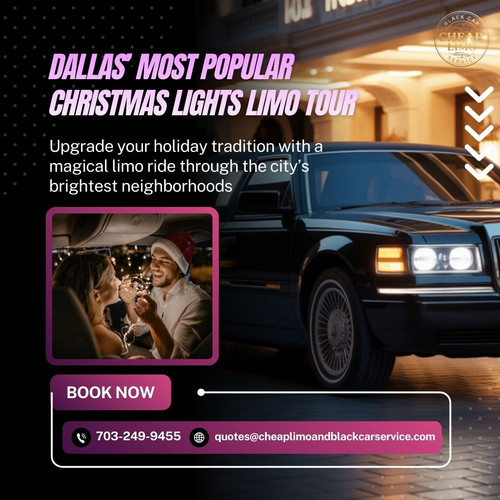 Limo Christmas Lights Tour.jpg