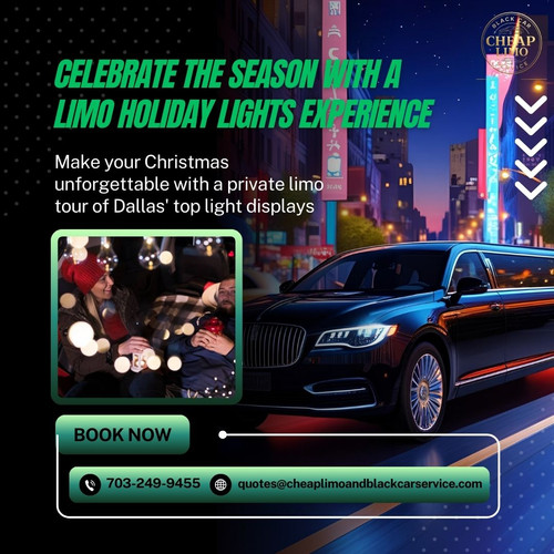 Limo Christmas Lights.jpg
