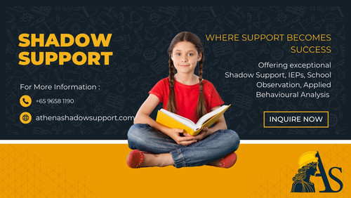 Shadow support.jpg