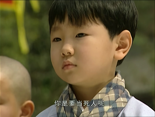 风云.雄霸天下.Wind.and.Cloud.2002.S01E01.1080P.WEB DL.H265.AAC.mp4 20251210 182017.672.png