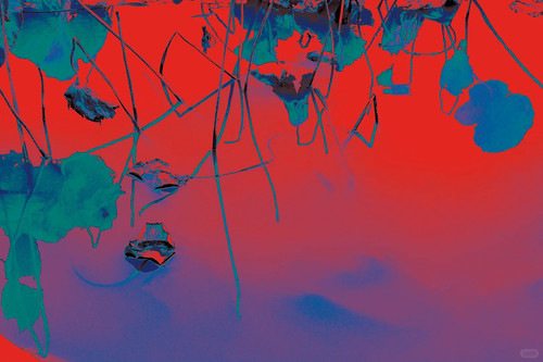 爱恨贪嗔痴 3 虛構Yakamoz 来自小红书网页版.jpg