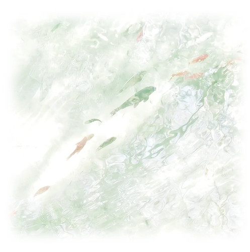 ⊹ .﹢ ᴛᴡɪɴ ʙᴜᴄᴋʟᴇ ◌ ⁺ . 1 Miin7、 来自小红书网页版.jpg