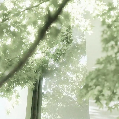 🍀않아요. 있어요.⋆ 1 绒妳 来自小红书网页版.jpg