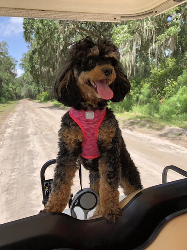 774b93cb 21b4 4818 a234 13062c5c41d6.jpg