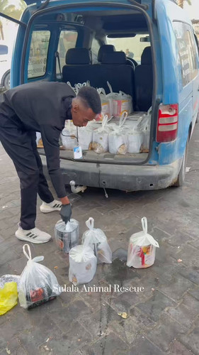 IRJHKbNCUpDEPG U.jpg