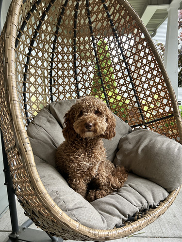 612c7d11 7229 4519 ab58 f0db83e7c204.jpg