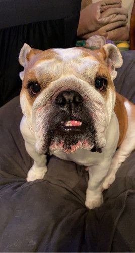 1f54a2b1 8d65 4e1d b0c8 8f7714f3cba8.jpg