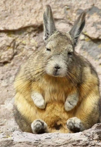 UL7aseCLOTpicSEiERcHNgkIULjyPbL1dV6sAqm2YFd274z11Fr8z2FE7IKfZLdoc vJpWRl0GkWA tckfoVzWtRlQ7omSvVXlgx.jpg