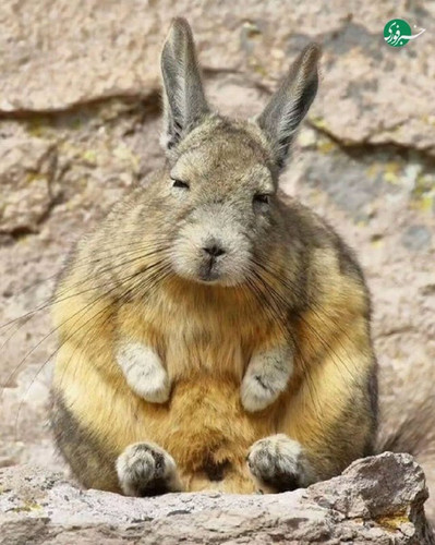 FvrJPMdNu0wO7ueLGpLWpWjgtzQOLLhHayQS czxlp7oFwCenBUZlFVSkcztz PbO ogiZfKr8Wogz6wND4s28zzhGwMwH9 zPGc.jpg