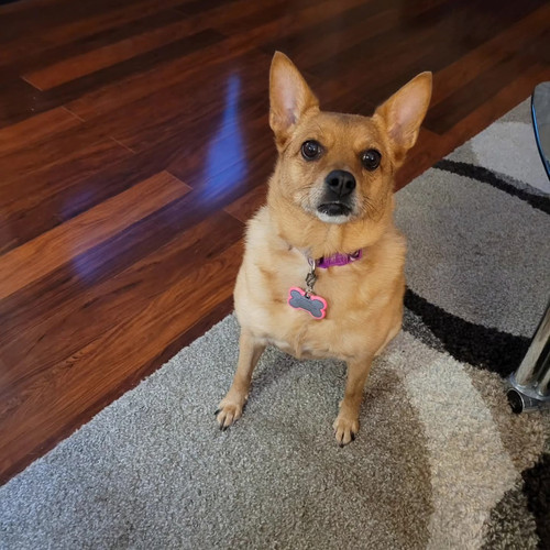 19a25321 e150 4f43 9296 0df72a2f4f6f.jpg