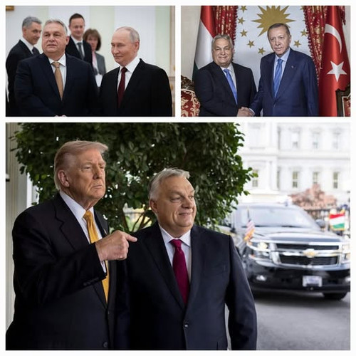 597979593 1417579276478876 8177563701325276270 n.jpg?stp=dst jpg p526x296 tt6& nc cat=104&ccb=1 7& n.jpg