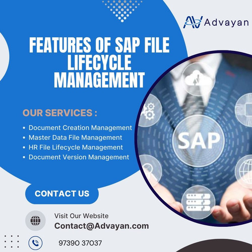 Features of SAP File Lifecycle Management.jpg