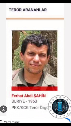 cXFd8VB cLewyr5S.jpg