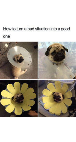 596436383 4351402765139952 8936087615824034440 n.jpg