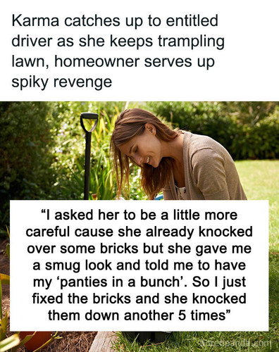 putting spikes edge yard sharing.jpg
