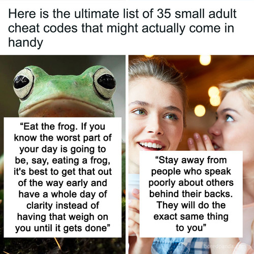 small adult cheat code sharing.jpg