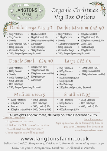 Copy of Christmas dashboard.png