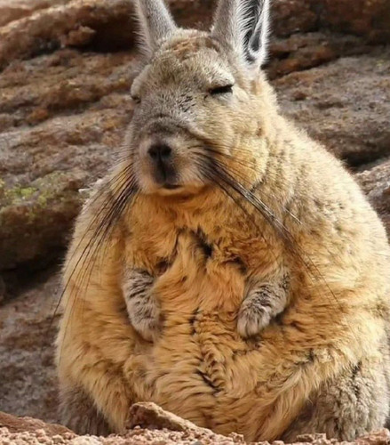 rR6K7pNr8wnaaXNARBCLuuqn8rSGTCQ5yg zGyzLHhK2scBowVkCkDKhroJxOiVHfYPAuMijUJMFxQESA43TDUlN xHElYQWDCVu.jpg