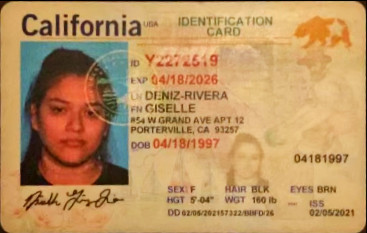 Giselle Denizrivera license image.jpg