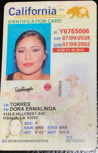 Dora Ermalinda Torres license image.jpg