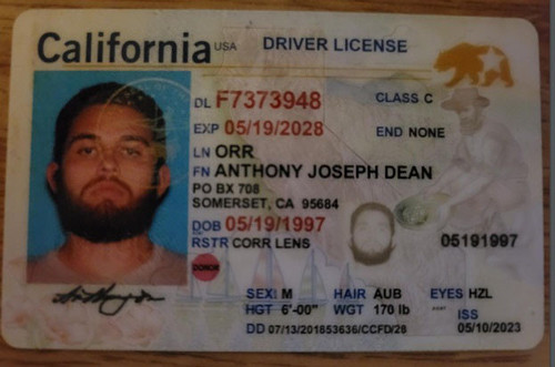 Anthony Joseph dean Orr license image.jpg