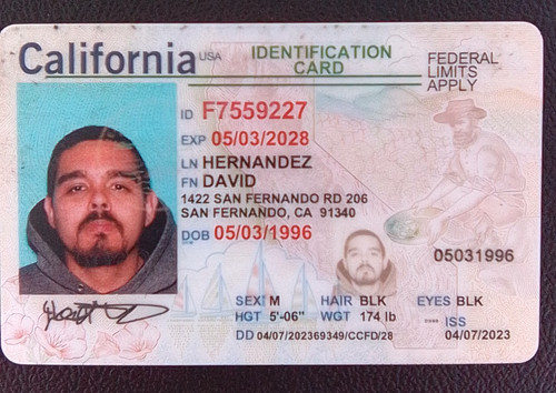 David Hernandez license image.jpg