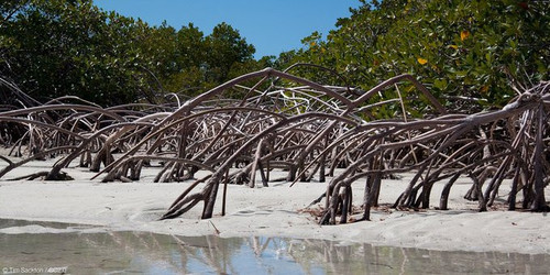 G tzKfGWYAAFfAv?format=jpg.jpg