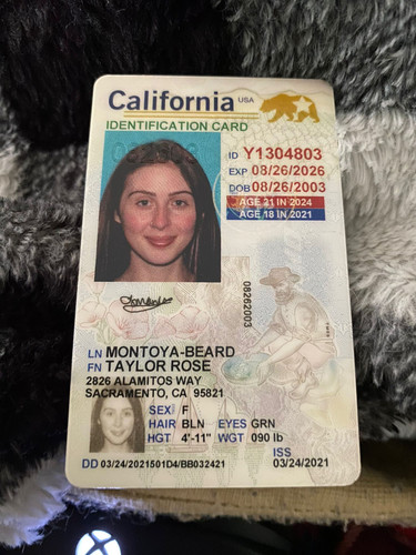 Taylor Montoya Beard license image.jpg