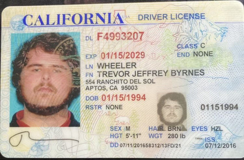 Trevor Jeffrey Wheeler license image.jpg