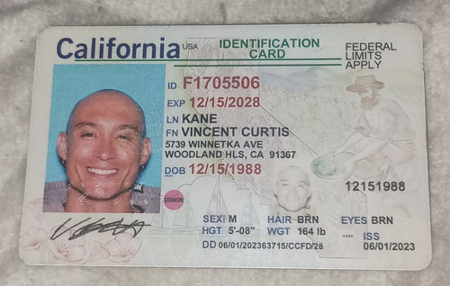Vincent Kane license image.jpg