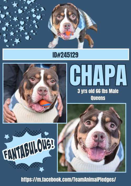 G optLYWEAAbU0e?format=jpg.jpg