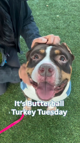 l hkDNv1Xj8ns6Xm.jpg