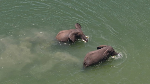 dFESvnx sadjBnxR.jpg