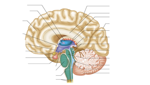 Screenshot 2026 01 14 at 4.04.38 PM.png