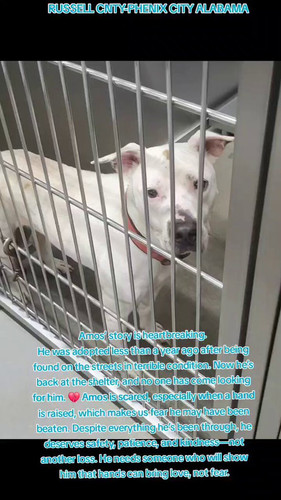 F0lS 5Wrw2oa w9Q.jpg