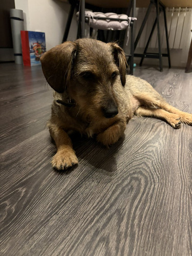 G oi1x bAAAZqfH?format=jpg.jpg