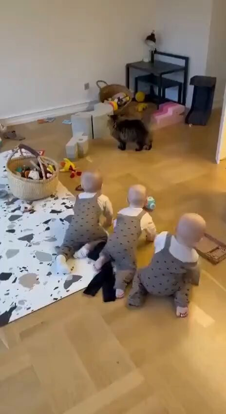 kRcMS jEwl2iJcAh.jpg