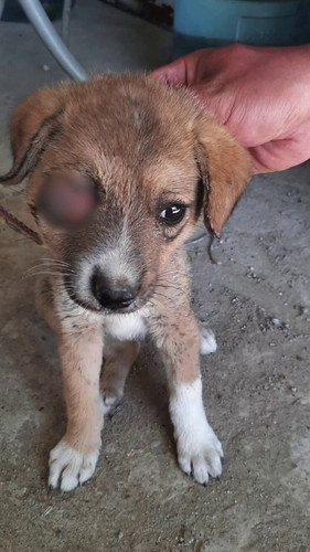 twNmtrClp DBkpiy.jpg